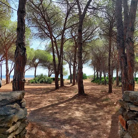 Seadas - Mare 2 Min-giardino-wi-fi-ac-parcheggio-bbq -pet Friendly Apartamento